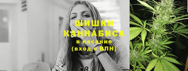 шишки Аркадак