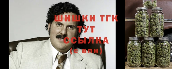 гашик Арсеньев