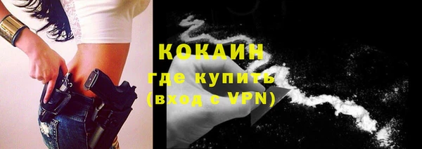 шишки Аркадак