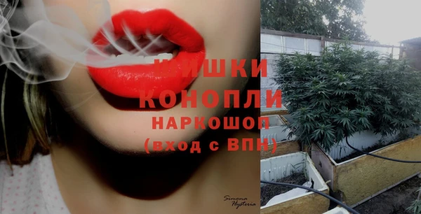 шишки Аркадак