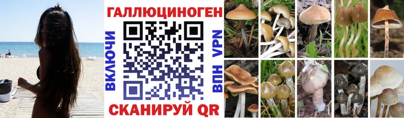 Галлюциногенные грибы MAGIC MUSHROOMS Тимашёвск